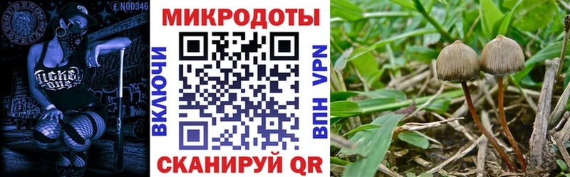 Галлюциногенные грибы MAGIC MUSHROOMS Судак