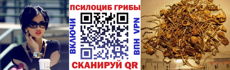 Галлюциногенные грибы Magic Shrooms Судак