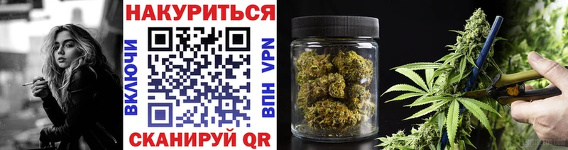 Бошки марихуана сатива  Судак 